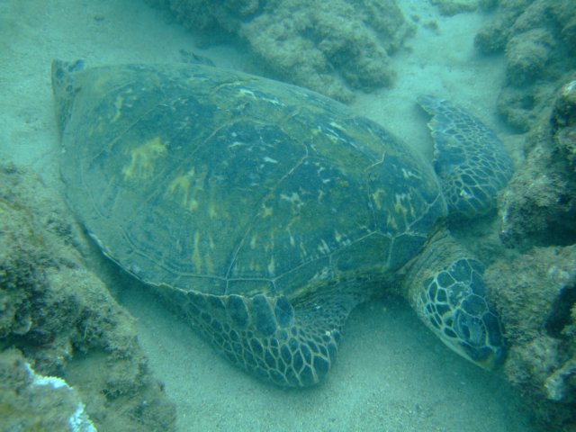 dscf4542.jpg