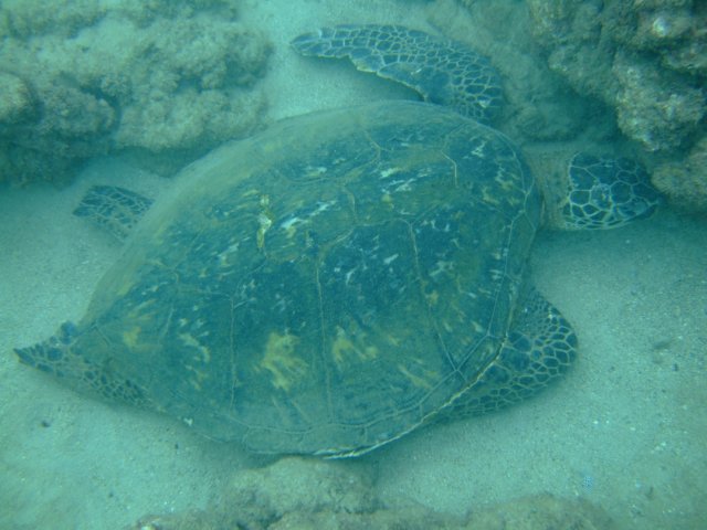 dscf4543.jpg