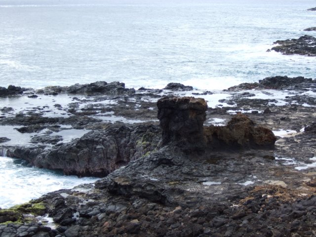 dscf4544.jpg