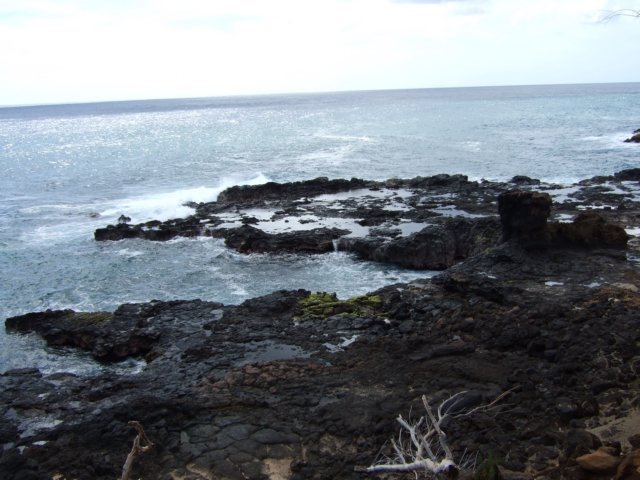 dscf4551.jpg