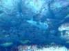 dscf4616_small.jpg