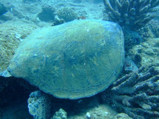 dscf4620.jpg