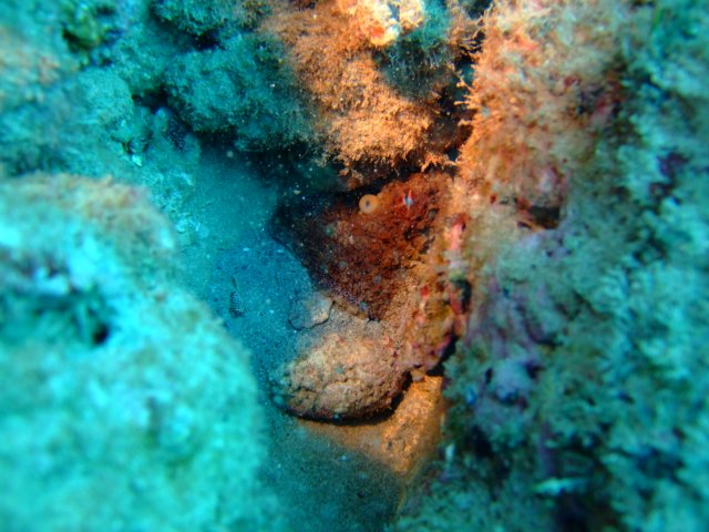 dscf4635.jpg