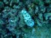 dscf4646_small.jpg