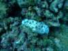 dscf4647_small.jpg