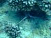 dscf4650_small.jpg