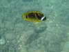 dscf4660_small.jpg