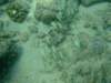 dscf4664_small.jpg