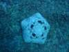 dscf4667_small.jpg