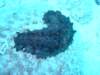 dscf4669_small.jpg