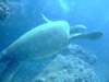 dscf4674_small.jpg