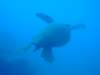 dscf4675_small.jpg