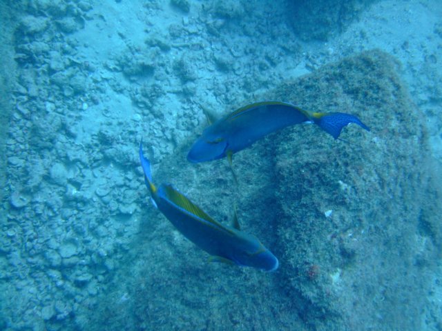 dscf4678.jpg