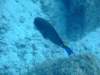 dscf4679_small.jpg