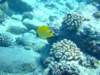 dscf4696_small.jpg
