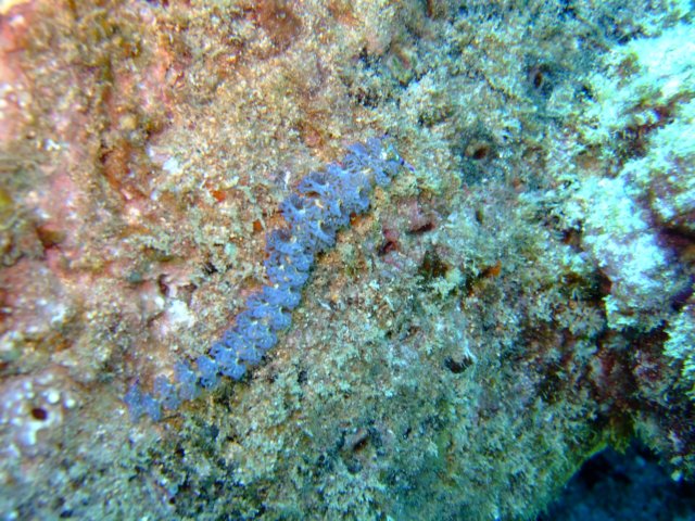 dscf4699.jpg