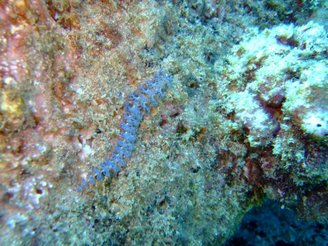 dscf4700.jpg