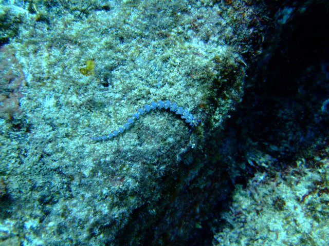 dscf4702.jpg