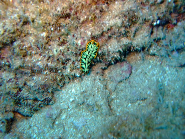 dscf4835.jpg