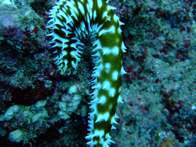 dscf4840.jpg