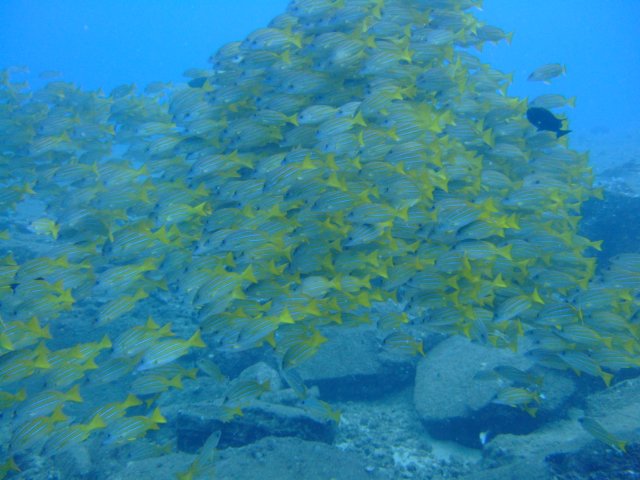 dscf4844.jpg