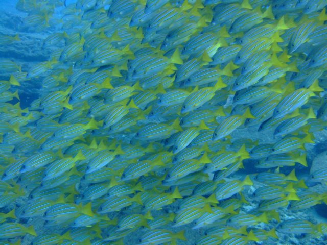 dscf4845.jpg