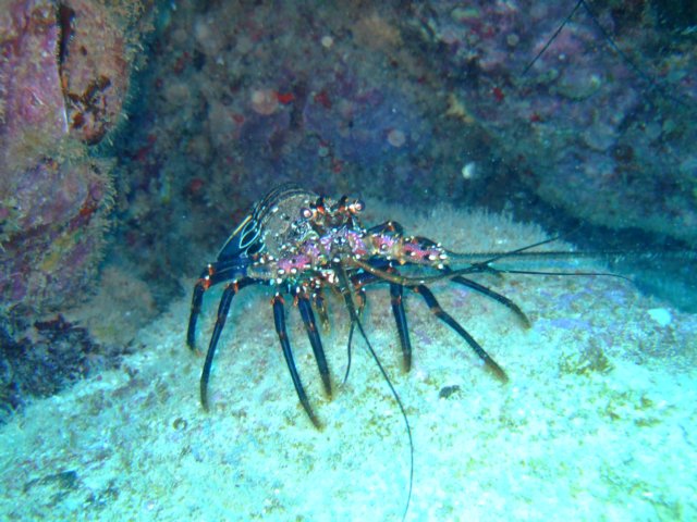 dscf4865.jpg