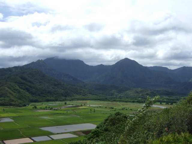 dscf4913.jpg