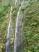 dscf6000_small.jpg