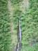 dscf6005_small.jpg