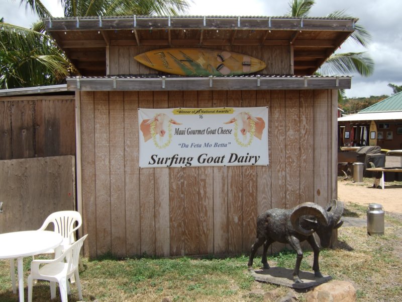 dscf6320.jpg