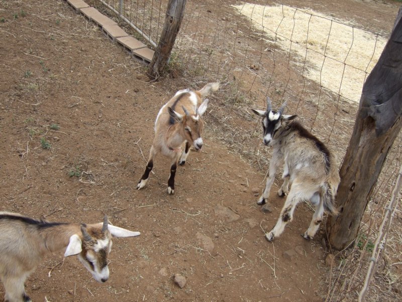 dscf6327.jpg