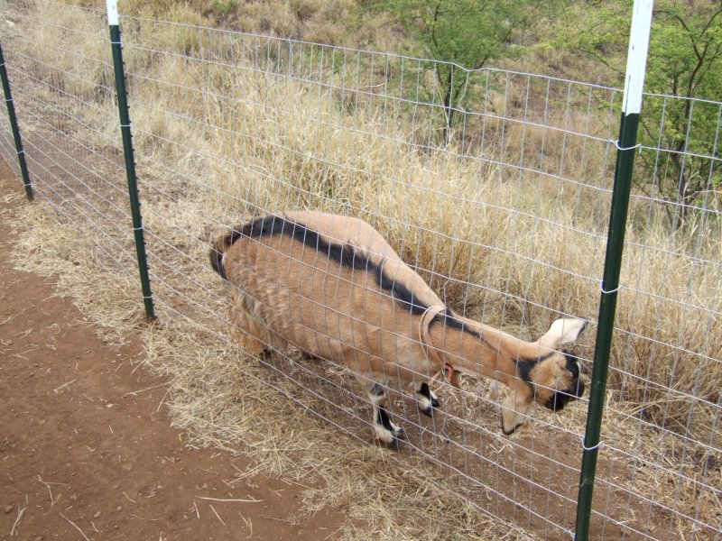 dscf6331.jpg