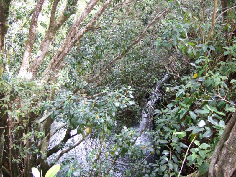 dscf6357.jpg