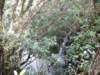dscf6357_small.jpg