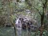 dscf6358_small.jpg