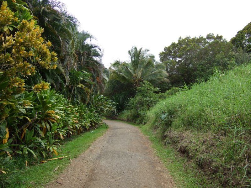 dscf6360.jpg