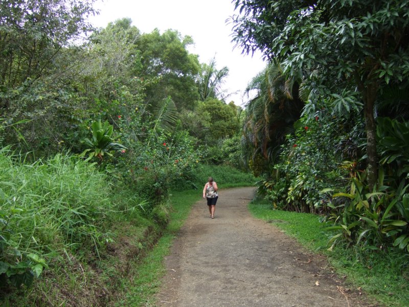 dscf6361.jpg