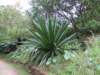 dscf6362_small.jpg