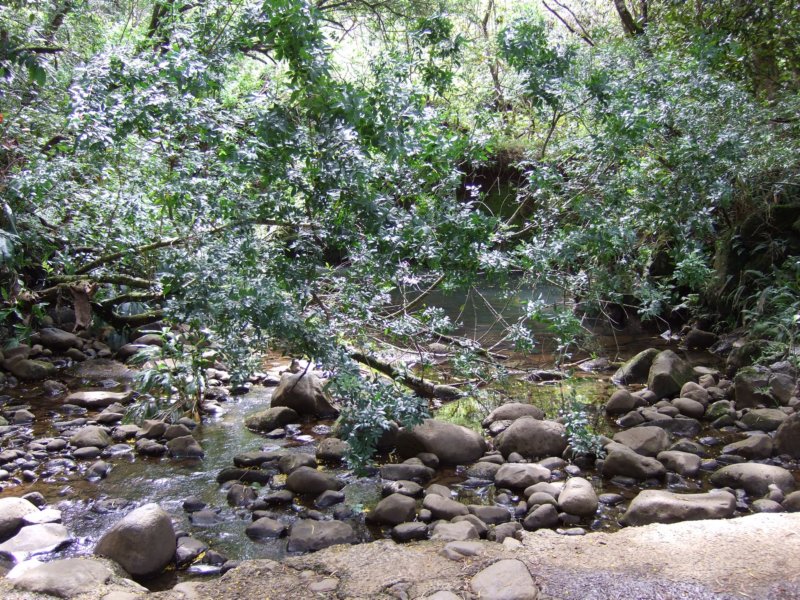 dscf6363.jpg