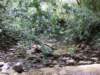 dscf6363_small.jpg