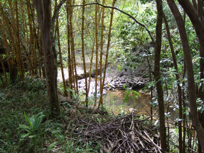 dscf6364.jpg