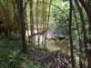 dscf6364_small.jpg