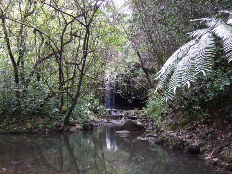 dscf6366.jpg