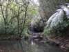 dscf6366_small.jpg