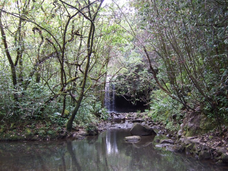 dscf6367.jpg
