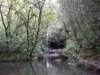 dscf6367_small.jpg
