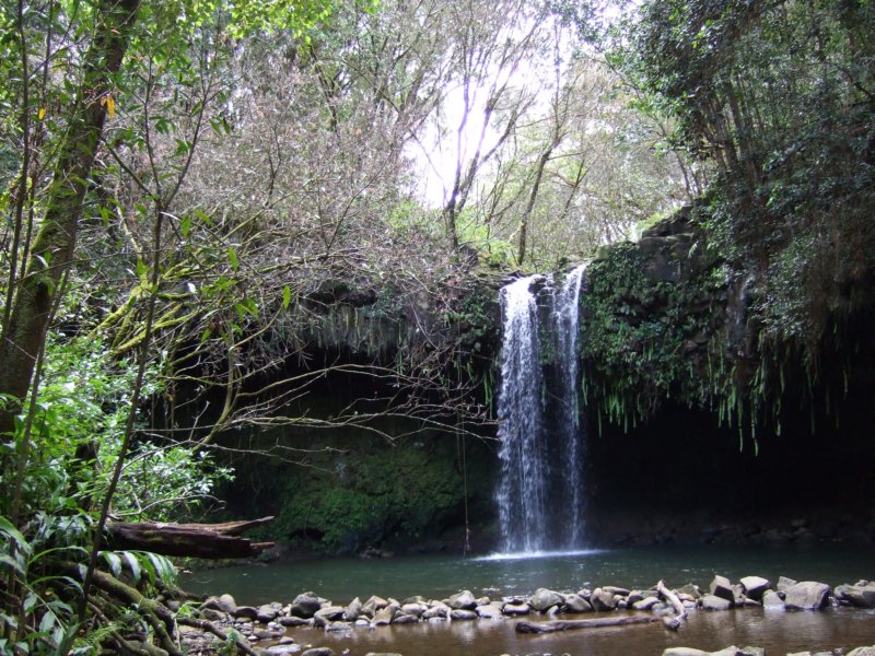 dscf6370.jpg