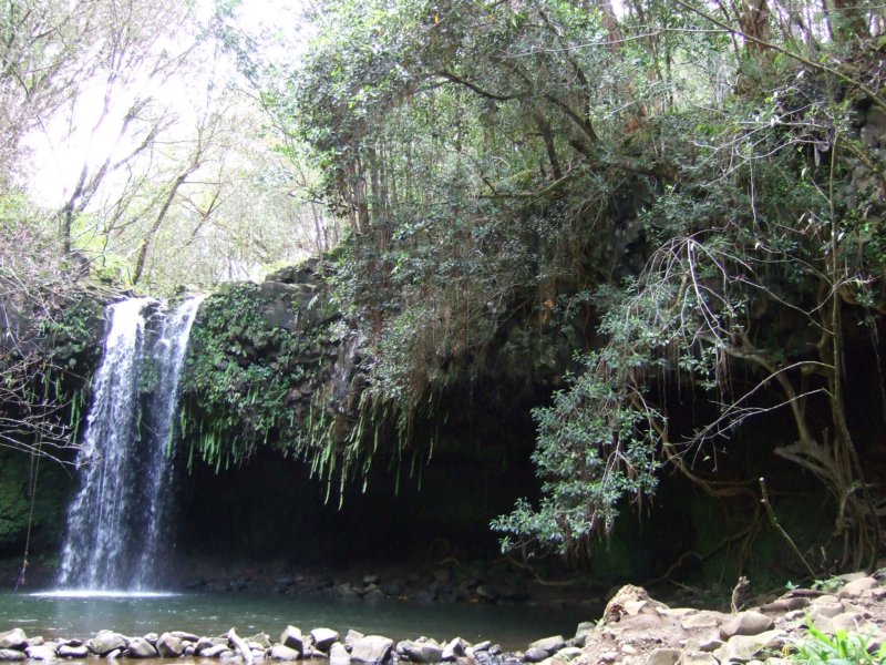 dscf6371.jpg