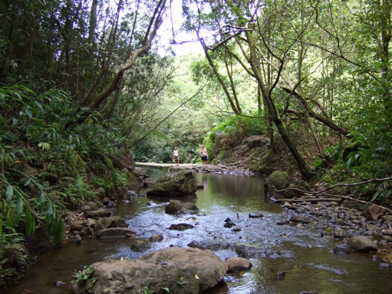 dscf6372.jpg